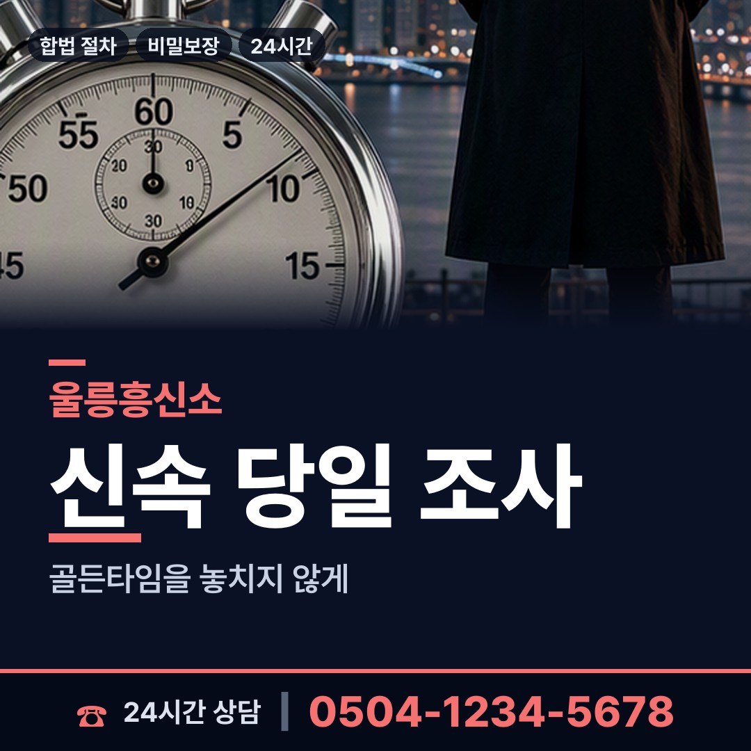 울릉 북면 재산은닉조사 상담 안내